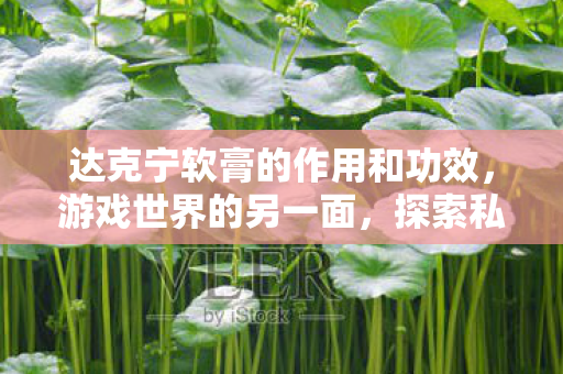 达克宁软膏的作用和功效，游戏世界的另一面，探索私服带来的独特体验