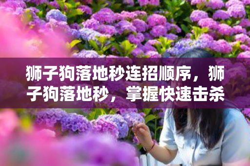 狮子狗落地秒连招顺序，狮子狗落地秒，掌握快速击杀技巧，助你称霸战场