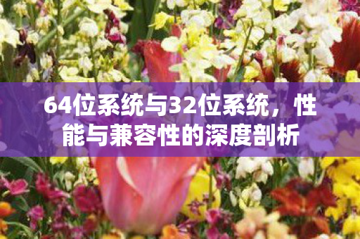 64位系统与32位系统，性能与兼容性的深度剖析
