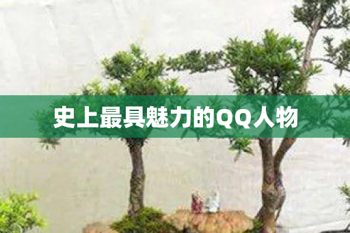 史上最具魅力的QQ人物