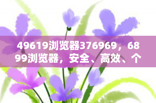 49619浏览器376969，6899浏览器，安全、高效、个性化的网络浏览新选择