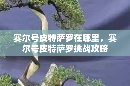 赛尔号皮特萨罗在哪里，赛尔号皮特萨罗挑战攻略