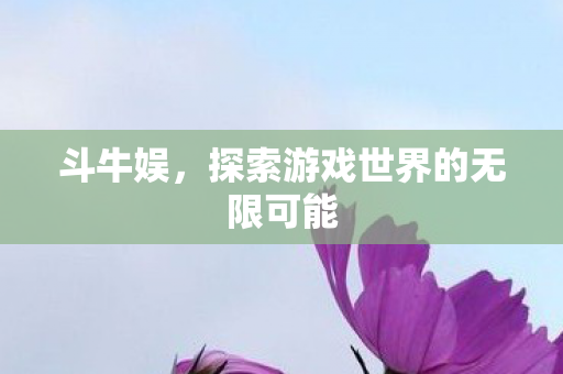 斗牛娱，探索游戏世界的无限可能