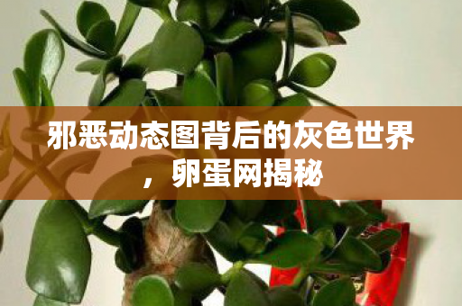 邪恶动态图背后的灰色世界，卵蛋网揭秘