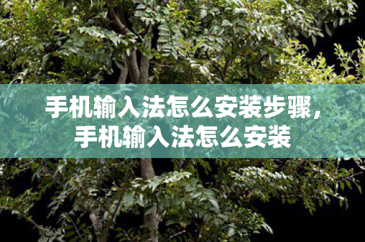 手机输入法怎么安装步骤，手机输入法怎么安装