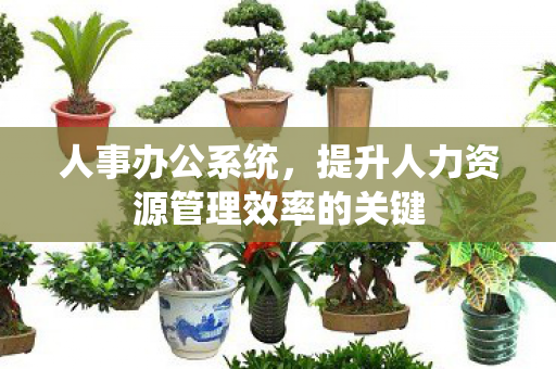 人事办公系统，提升人力资源管理效率的关键