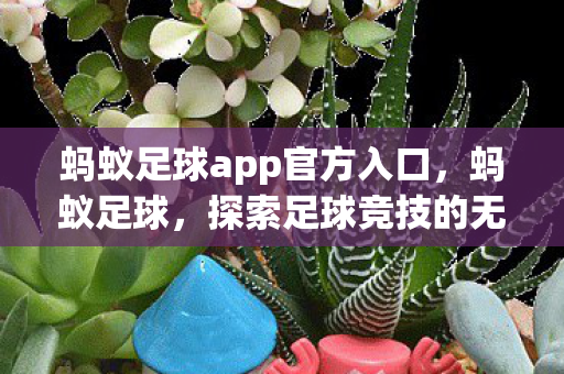 蚂蚁足球app官方入口，蚂蚁足球，探索足球竞技的无限可能