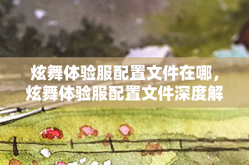 炫舞体验服配置文件在哪，炫舞体验服配置文件深度解析