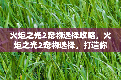 火炬之光2宠物选择攻略，火炬之光2宠物选择，打造你的专属战斗伙伴