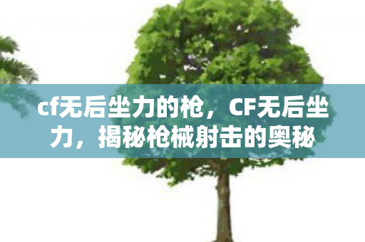 cf无后坐力的枪，CF无后坐力，揭秘枪械射击的奥秘