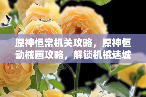 原神恒常机关攻略，原神恒动械画攻略，解锁机械迷城的秘密