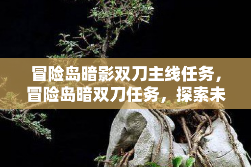 冒险岛暗影双刀主线任务，冒险岛暗双刀任务，探索未知的挑战之旅