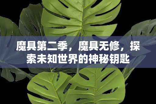魔具第二季，魔具无修，探索未知世界的神秘钥匙