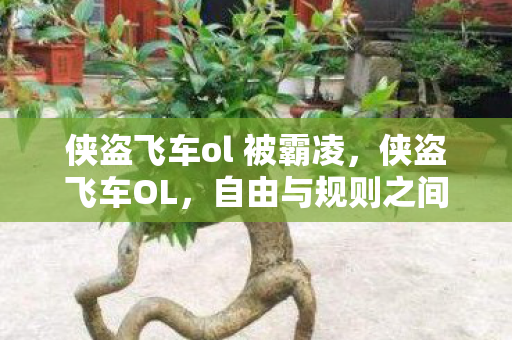 侠盗飞车ol 被霸凌，侠盗飞车OL，自由与规则之间的灰色地带