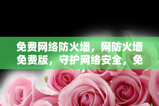 免费网络防火墙，网防火墙免费版，守护网络安全，免费也能高效