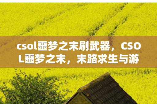 csol噩梦之末刷武器，CSOL噩梦之末，末路求生与游戏生态的反思