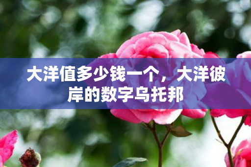 大洋值多少钱一个，大洋彼岸的数字乌托邦