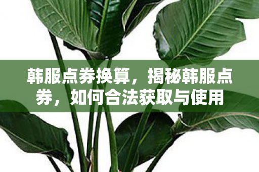 韩服点券换算，揭秘韩服点券，如何合法获取与使用
