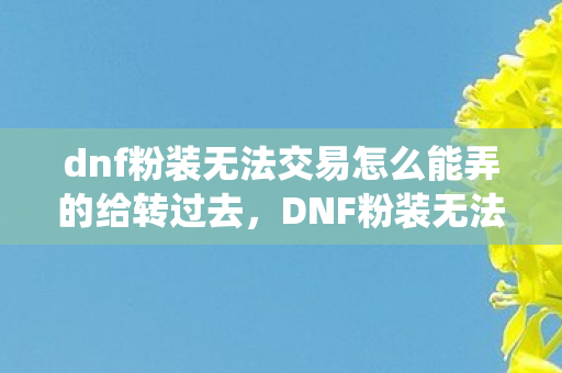 dnf粉装无法交易怎么能弄的给转过去，DNF粉装无法交易，深度解析背后的经济系统与玩家策略