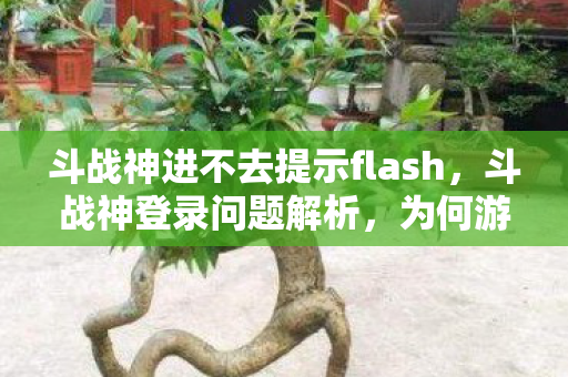斗战神进不去提示flash，斗战神登录问题解析，为何游戏无法进入及解决方案