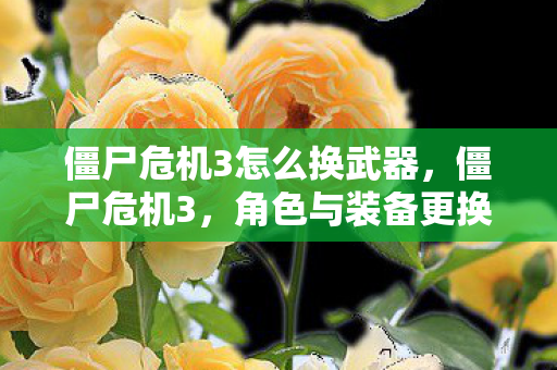 僵尸危机3怎么换武器，僵尸危机3，角色与装备更换攻略