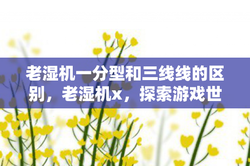 老湿机一分型和三线线的区别，老湿机x，探索游戏世界的无限可能