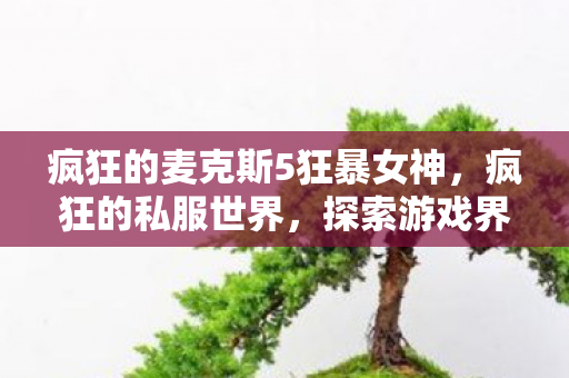 疯狂的麦克斯5狂暴女神，疯狂的私服世界，探索游戏界的另类生态