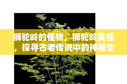 狮驼岭的怪物，狮驼岭英怪，探寻古老传说中的神秘生物
