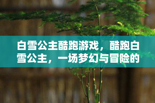 白雪公主酷跑游戏，酷跑白雪公主，一场梦幻与冒险的交织之旅