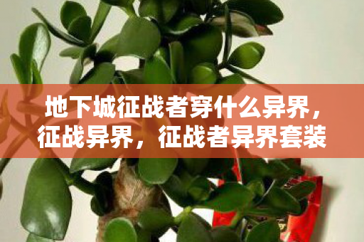地下城征战者穿什么异界，征战异界，征战者异界套装备解析与实战应用