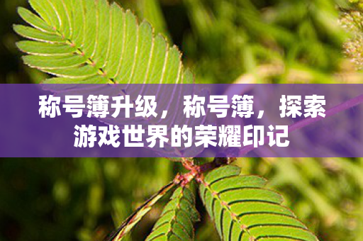 称号簿升级，称号簿，探索游戏世界的荣耀印记
