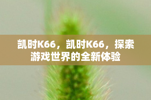 凯时K66，凯时K66，探索游戏世界的全新体验