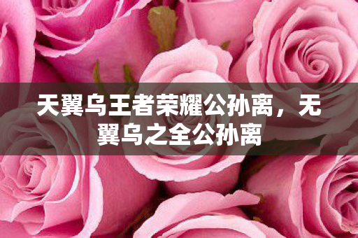 天翼乌王者荣耀公孙离，无翼乌之全公孙离