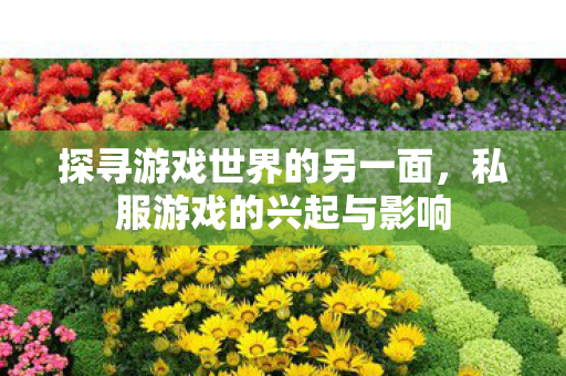探寻游戏世界的另一面，私服游戏的兴起与影响