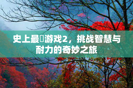 史上最囧游戏2，挑战智慧与耐力的奇妙之旅