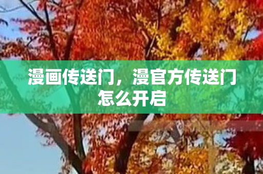 漫画传送门，漫官方传送门怎么开启