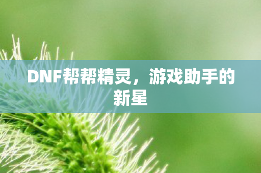 DNF帮帮精灵，游戏助手的新星