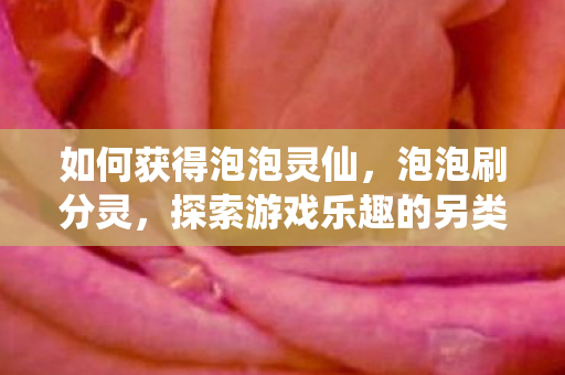 如何获得泡泡灵仙，泡泡刷分灵，探索游戏乐趣的另类途径