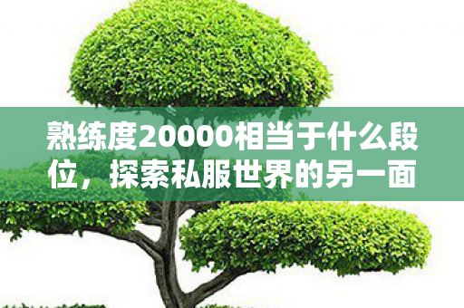 熟练度20000相当于什么段位，探索私服世界的另一面，游戏文化的传承与创新