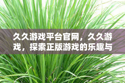 久久游戏平台官网，久久游戏，探索正版游戏的乐趣与未来
