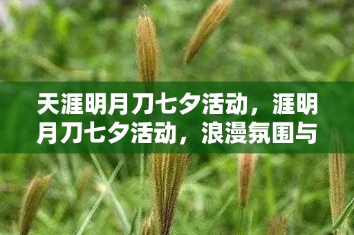 天涯明月刀七夕活动，涯明月刀七夕活动，浪漫氛围与精彩活动齐飞