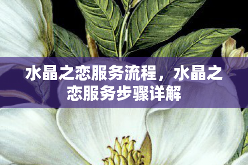 水晶之恋服务流程，水晶之恋服务步骤详解