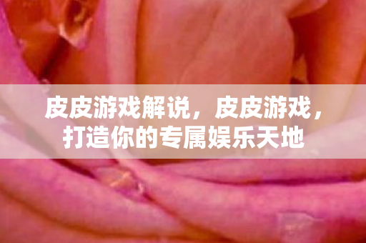 皮皮游戏解说，皮皮游戏，打造你的专属娱乐天地