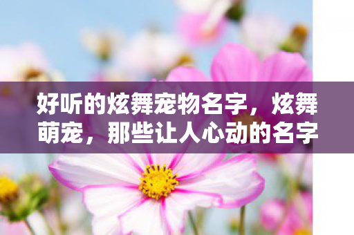 好听的炫舞宠物名字，炫舞萌宠，那些让人心动的名字
