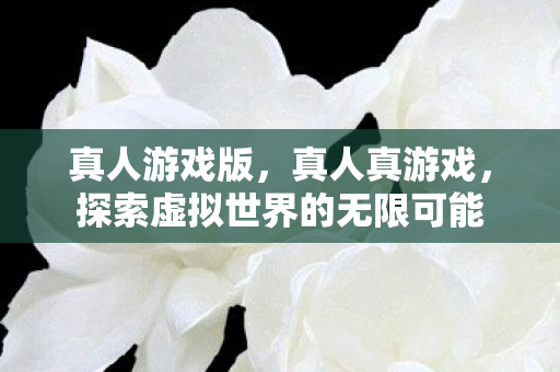 真人游戏版，真人真游戏，探索虚拟世界的无限可能