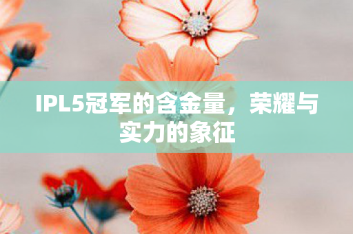 IPL5冠军的含金量,荣耀与实力的象征 IPL5冠军的含金量,荣耀与实力的象征