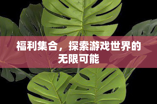 福利集合，探索游戏世界的无限可能
