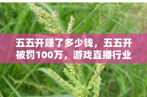 五五开赚了多少钱，五五开被罚100万，游戏直播行业的警钟