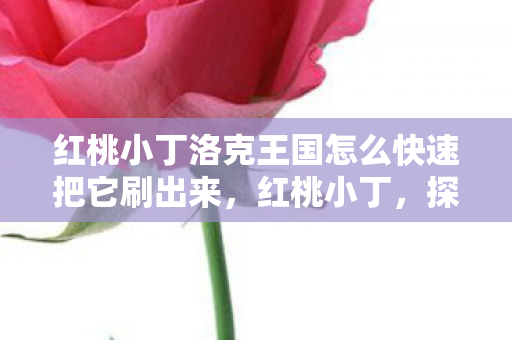 红桃小丁洛克王国怎么快速把它刷出来，红桃小丁，探索游戏世界的奇妙之旅