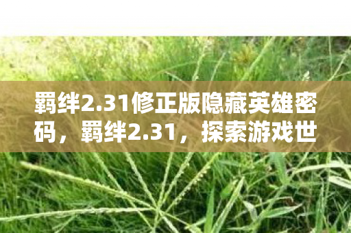 羁绊2.31修正版隐藏英雄密码，羁绊2.31，探索游戏世界的无限可能